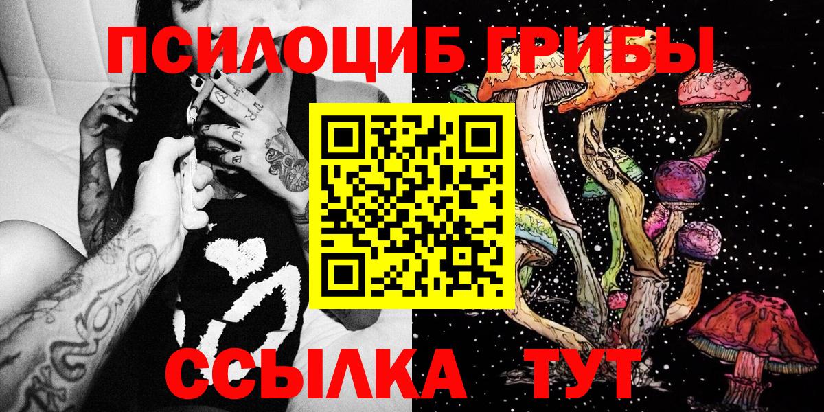 Саратов  цены   Вход с VPN  Галлюциногенные грибы Psilocybe 